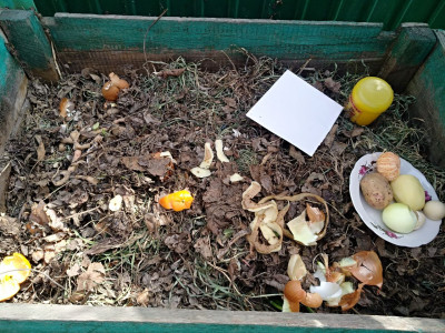 Компостирование пищевых отходов в кампусе